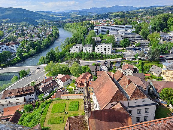 20250513_095136.jpg